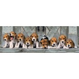 Clementoni Panorama Puzzle "Beagles" 1000пар.(14-99год.)