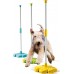 Clementoni Science and Play Домашни Миленици "My 4-Legged Friends" (7+год.)