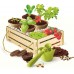 Clementoni Science and Play Мојата Градина "Gardening Kit" (7+год.)